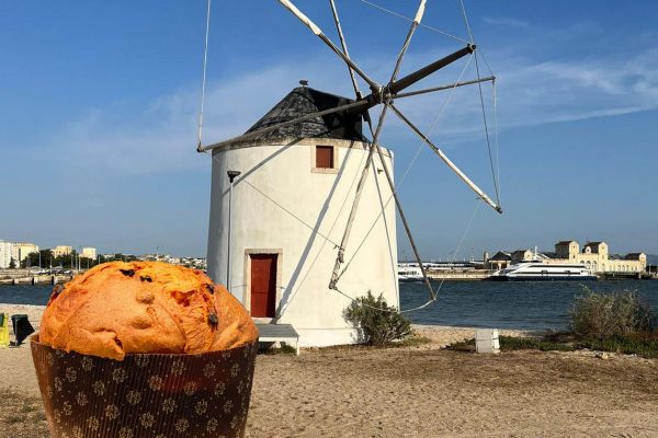 Seleções em Portugal: encontro marcado para 8 de outubro na Ferneto